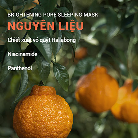 Mặt nạ ngủ dưỡng sáng da, se khít lỗ chân lông innisfree Brightening Pore Sleeping Mask 100 mL