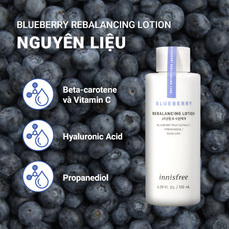 Sữa dưỡng cân bằng ẩm việt quất innisfree Blueberry Rebalancing Lotion 130 mL