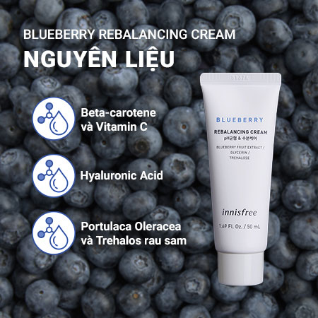 Kem dưỡng ẩm chống oxy hóa việt quất  innisfree Blueberry Rebalancing Cream 50 mL