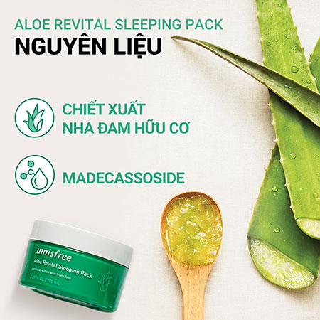 Mặt nạ ngủ dưỡng ẩm nha đam innisfree Aloe Revital Sleeping Pack 100mL