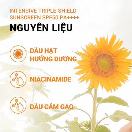 Kem chống nắng lâu trôi tăng cường innisfree Intensive Triple-shield Sunscreen SPF50+ PA++++ 50 mL