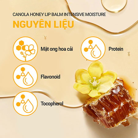 Son dưỡng ẩm sâu không màu INNISFREE Canola Honey Lip Balm Intensive Moisture 3.5 g HSD 27-12-2024