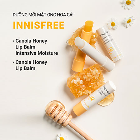 Son dưỡng môi chuyên sâu mật ong hoa cải innisfree Canola Honey Lip Balm Intensive Moisture 3.5g