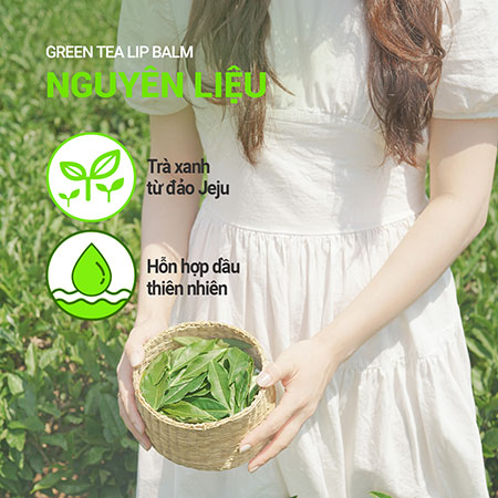 Son dưỡng môi trà xanh innisfree Green Tea Lip Balm 3.6 g