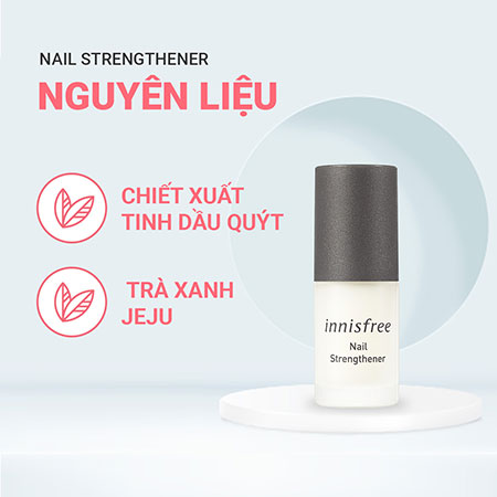 Sơn dưỡng móng innisfree Nail Strengthener 6 mL