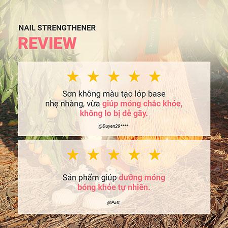 Sơn dưỡng móng innisfree Nail Strengthener 6 mL