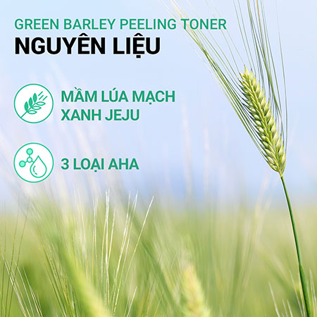 Nước cân bằng tẩy tế bào chết từ lúa mạch xanh innisfree Green Barley Peeling Toner 250 mL