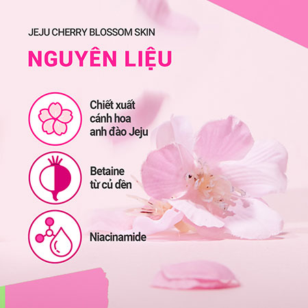 Nước cân bằng dưỡng ẩm sáng da innisfree Jeju Cherry Blossom Skin 200 mL