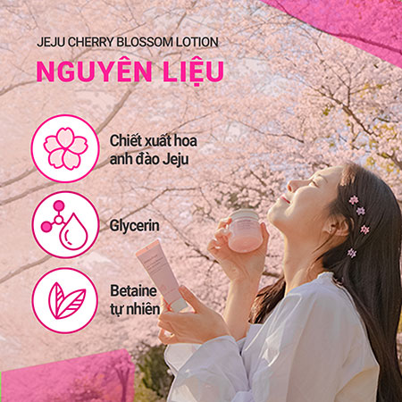 Sữa dưỡng ẩm sáng da hoa anh đào innisfree Jeju Cherry Blossom Lotion 100 mL
