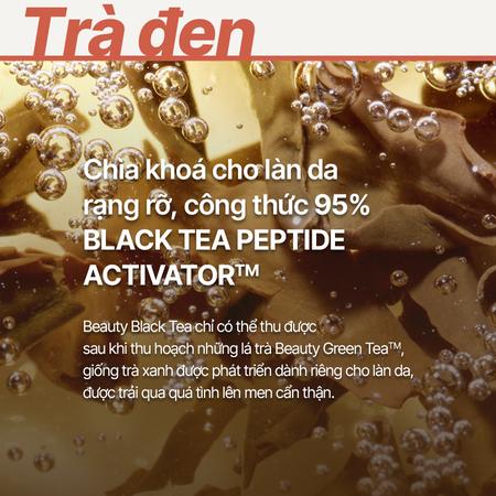 Kem dưỡng da ngăn ngừa lão hóa từ trà đen INNISFREE Black Tea Youth Enhancing Cream 50 mL 