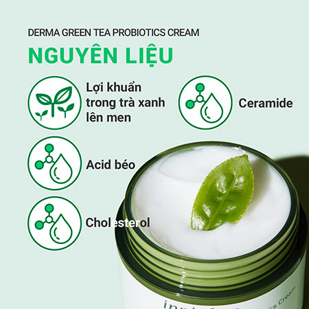Kem dưỡng ẩm da từ trà xanh lên men innisfree Derma Green Tea Probiotics Cream 50 mL