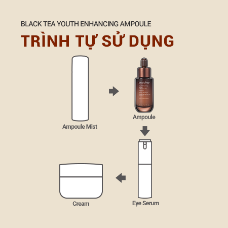 Set tinh chất & nước dưỡng & kem dưỡng da ban đêm ngăn ngừa lão hóa từ trà đen innisfree Black Tea Youth Enhancing Ampoule & Essence & Cream combo
