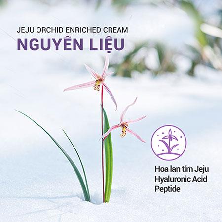 Set kem dưỡng và nước cân bằng ngăn ngừa lão hóa da innisfree Jeju Orchid Enriched Cream & Skin Combo