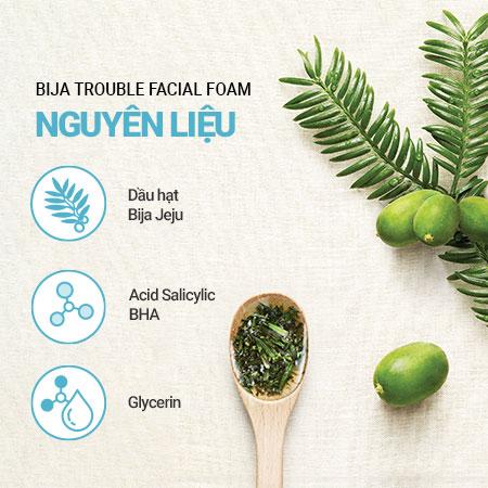 Bộ sữa rửa mặt làm dịu da mụn và tinh chất dưỡng ẩm trà xanh innisfree Bija Trouble Facial Foam & Green Tea Seed Serum Duo Set