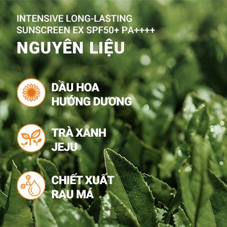 Set kem chống nắng chống nước lâu trôi và tinh chất trà xanh minisize innisfree Intensive Long-lasting Sunscreen & Green Tea Seed Serum Combo