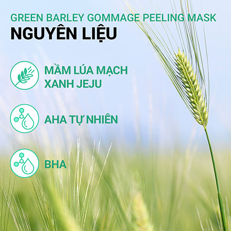 Bộ tẩy tế bào chết lúa mạch và dưỡng ẩm trà xanh innisfree Gommage Mask & Green Tea Seed Serum Combo