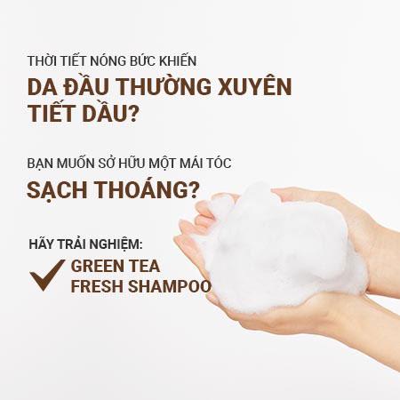 Bộ sản phẩm hạn chế bết tóc trà xanh innisfree Green Tea Fresh Shampoo & Green Tea Fresh Conditioner & Ribbon Hair Band