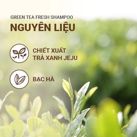 Bộ sản phẩm hạn chế bết tóc trà xanh innisfree Green Tea Fresh Shampoo & Green Tea Fresh Conditioner & Ribbon Hair Band