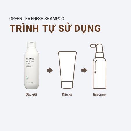 Bộ sản phẩm hạn chế bết tóc trà xanh innisfree Green Tea Fresh Shampoo & Green Tea Fresh Conditioner & Ribbon Hair Band