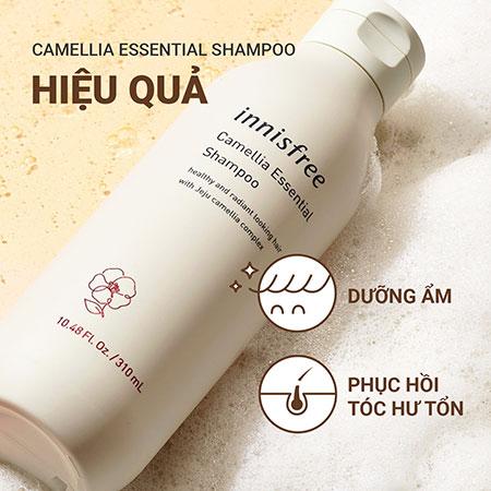 Bộ sản phẩm dưỡng tóc suôn mượt hoa trà innisfree Camellia Essential Shampoo & Camellia Essential Hair Treatment & Ribbon Hair Band