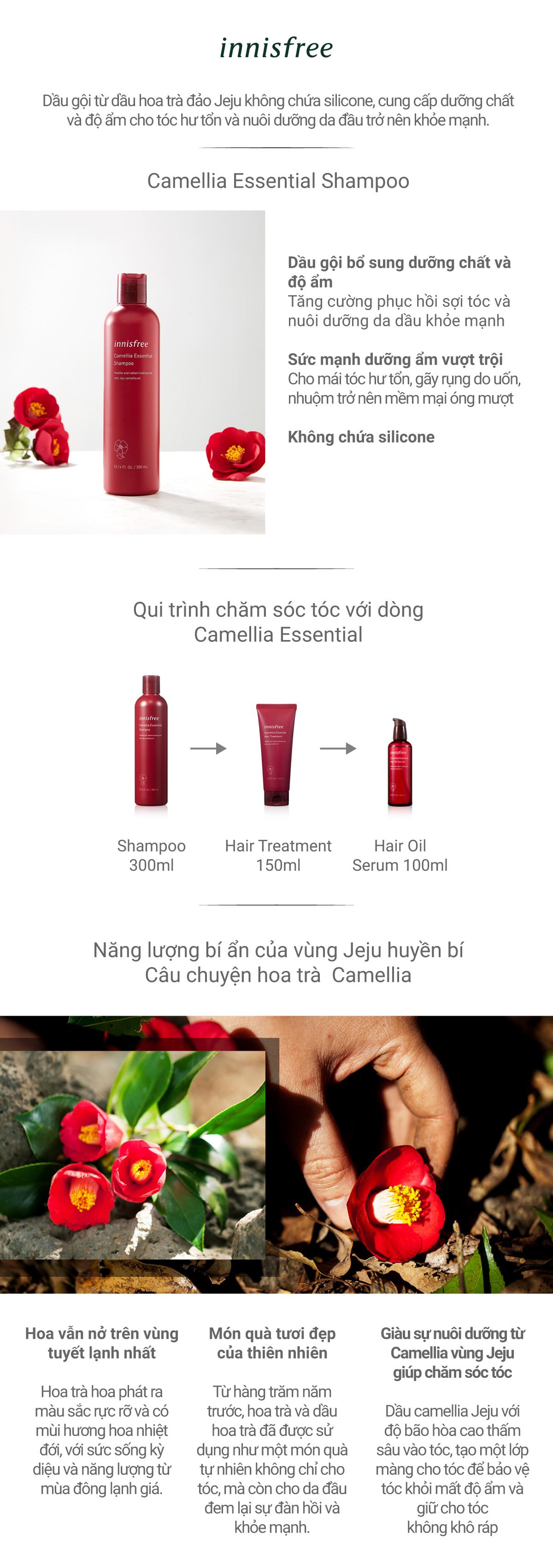 Bộ sản phẩm dưỡng tóc suôn mượt hoa trà innisfree Camellia Essential Shampoo & Camellia Essential Hair Treatment & Ribbon Hair Band