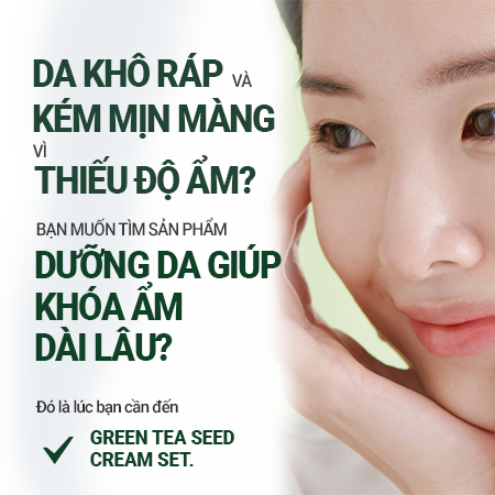 [Phiên bản Green Holidays] Bộ cấp ẩm và dưỡng da mịn màng mầm trà xanh innisfree Green Tea Seed Cream Set