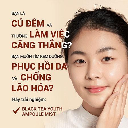 (ĐỘC QUYỀN) Set Kem Dưỡng Da Ban Đêm Ngăn Ngừa Lão Hóa Từ Trà Đen INNISFREE Black Tea Youth Enhancing Cream And Treatment Essence And Black Tea Youth Ampoule Combo