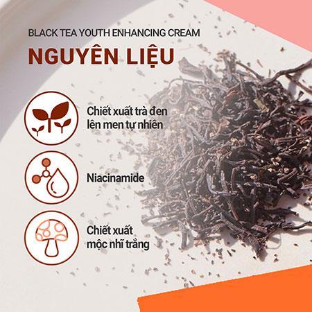 (ĐỘC QUYỀN) Set Kem Dưỡng Da Ban Đêm Ngăn Ngừa Lão Hóa Từ Trà Đen INNISFREE Black Tea Youth Enhancing Cream And Treatment Essence And Black Tea Youth Ampoule Combo