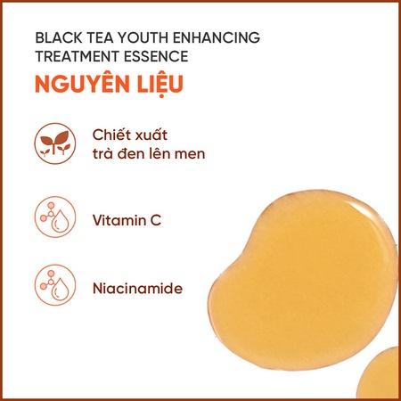 Nước dưỡng ngăn ngừa lão hóa từ trà đen innisfree Black tea Youth Enhancing Treatment Essence 145 mL