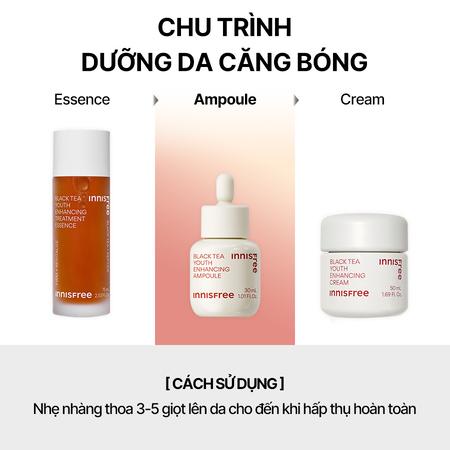 Tinh chất phục hồi da và chống lão hóa từ trà đen INNISFREE Black Tea Youth Ampoule 30 mL 2023