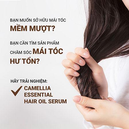 Dầu dưỡng tóc hương hoa trà INNISFREE Camellia Essential Hair Oil Serum 100 mL