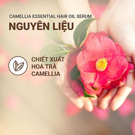 Dầu dưỡng tóc hương hoa trà INNISFREE Camellia Essential Hair Oil Serum 100 mL
