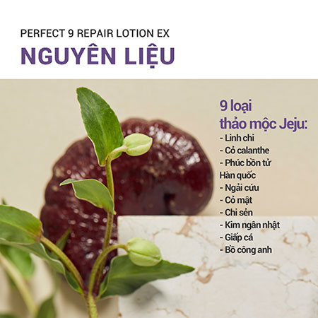 Sữa dưỡng ẩm ngăn ngừa lão hóa da chuyên sâu innisfree Perfect 9 Intensive Lotion 160 mL