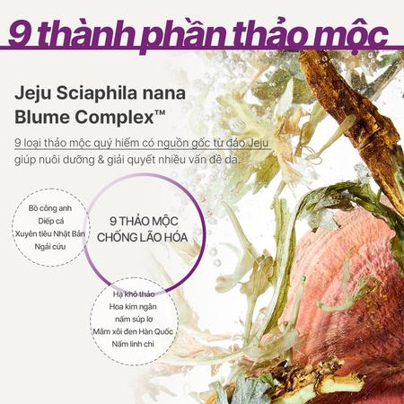 Tinh chất ngăn ngừa lão hóa chuyên sâu innisfree Perfect 9 Intensive Serum 50 mL