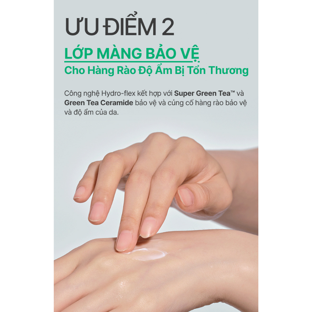 Kem dưỡng ẩm phục hồi INNISFREE GREEN TEA CERAMIDE CREAM 50mL