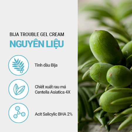 Kem dưỡng ẩm dạng gel trị mụn từ Bija innisfree Bija Trouble Gel Cream 40 mL