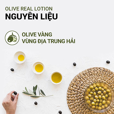 Sữa dưỡng ẩm sâu ô liu vàng innisfree Olive Real Lotion 160 mL